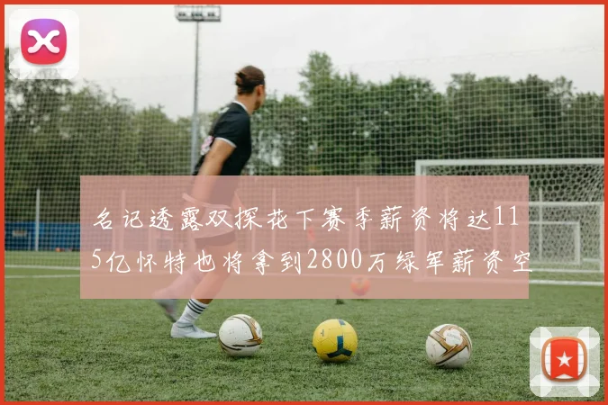 名记透露双探花下赛季薪资将达115亿怀特也将拿到2800万绿军薪资空间依旧紧张